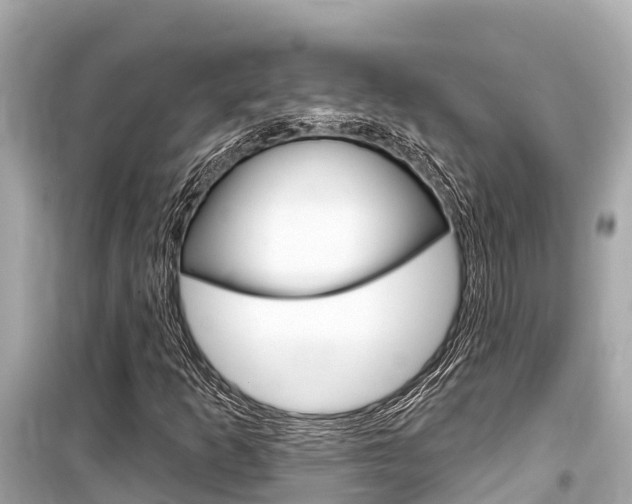 X0000099561253200805160742
