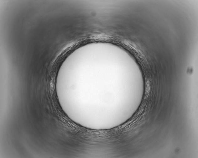 X0000099561254200805160742