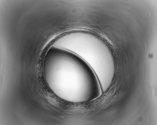 X0000099561256200805160742