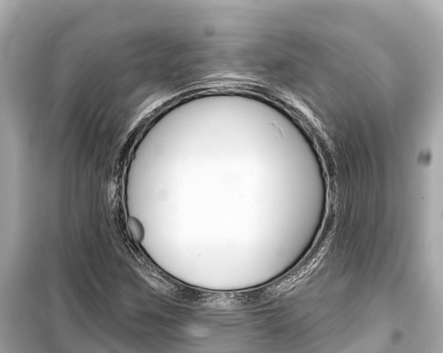 X0000099561259200805160742