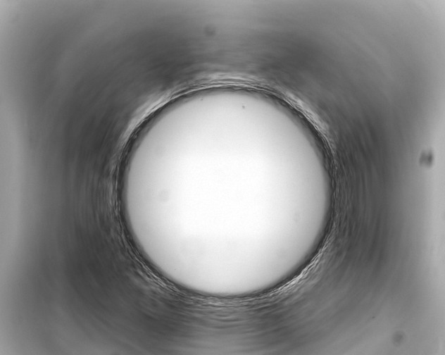 X0000099561261200805160742