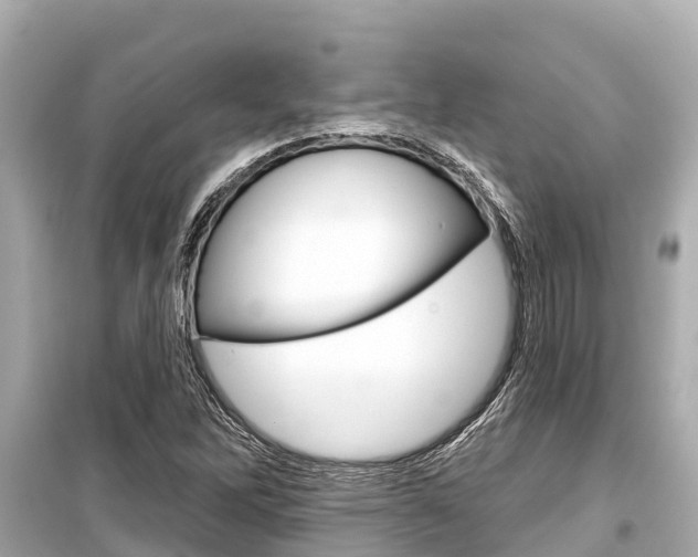 X0000099561262200805160742