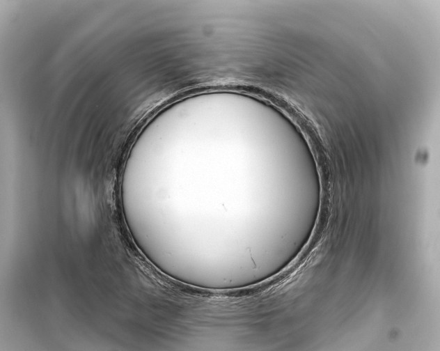 X0000099561265200805160742