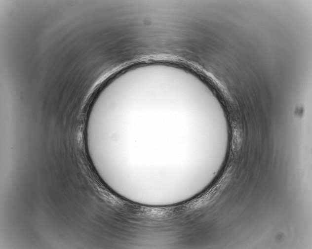 X0000099561266200805160742