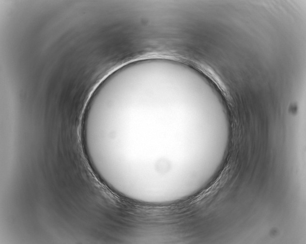 X0000099561268200805160741