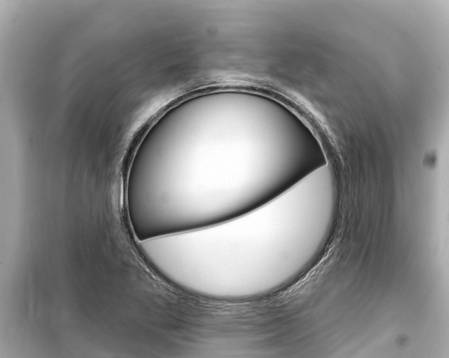 X0000099561269200805160741