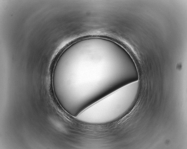 X0000099561270200805160741