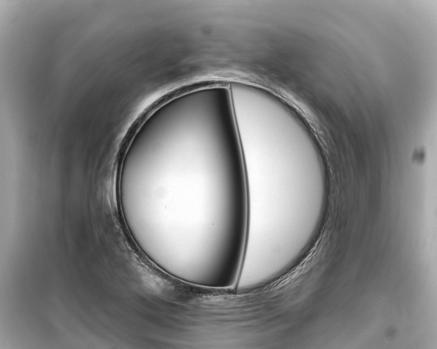X0000099561272200805160741