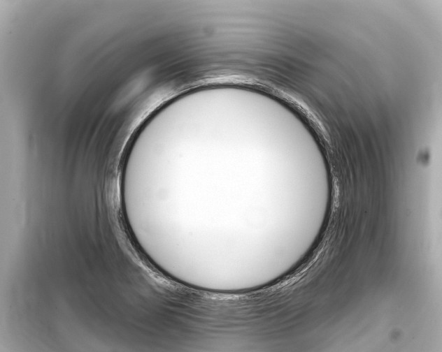 X0000099561274200805160741
