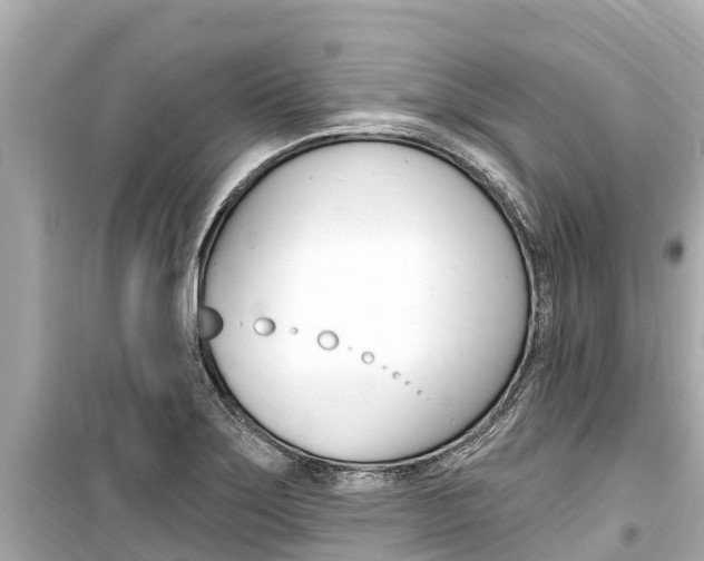 X0000099561275200805160741