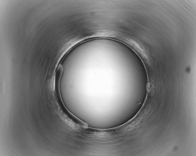 X0000099561276200805160741