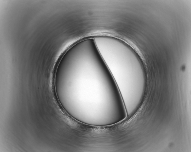 X0000099561277200805160741