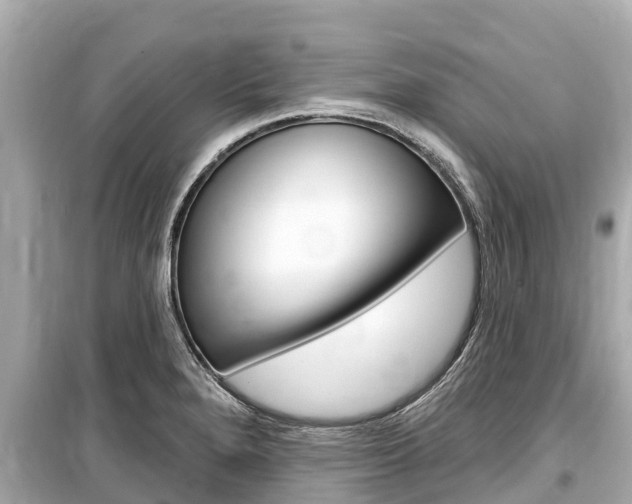 X0000099561280200805160741