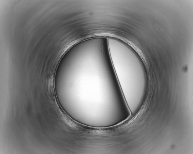 X0000099561281200805160741