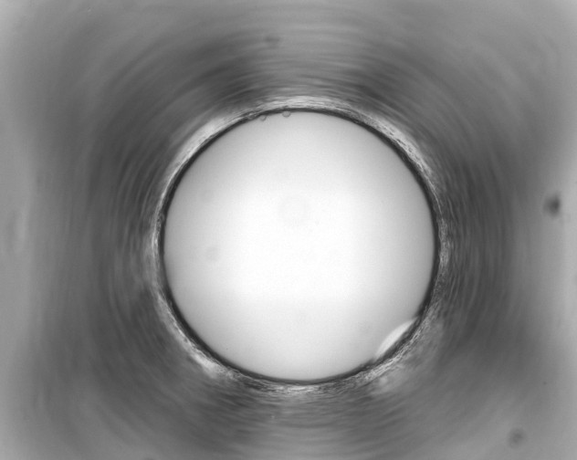 X0000099561282200805160741
