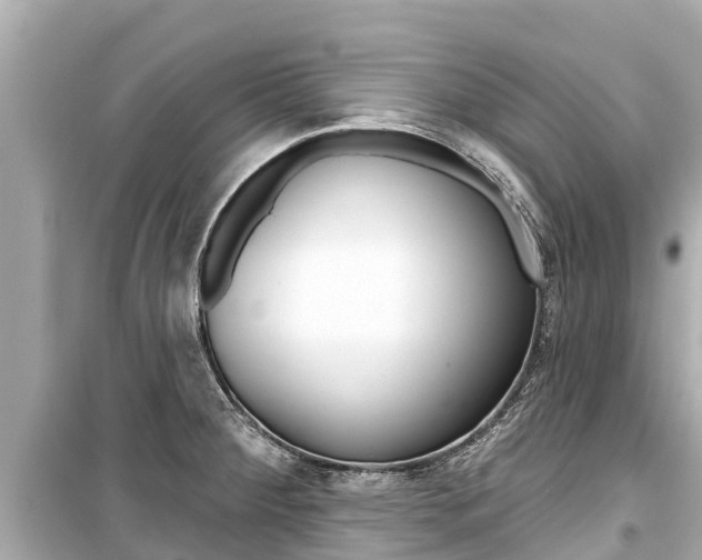X0000099561284200805160741