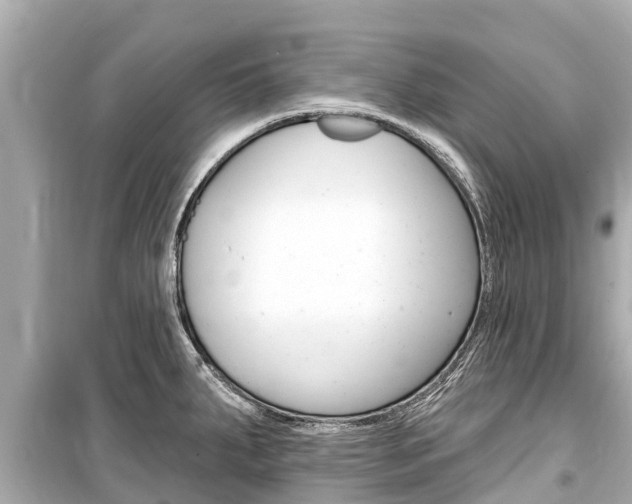 X0000099561287200805160741