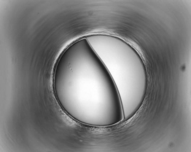 X0000099561288200805160741