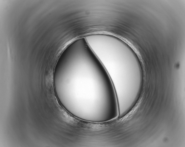X0000099561289200805160741