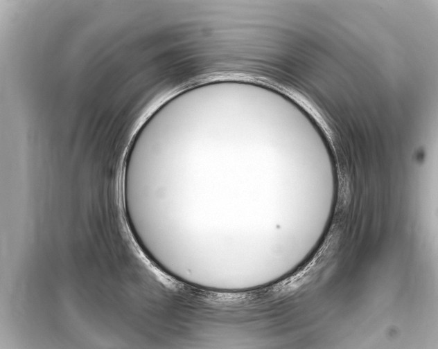 X0000099561290200805160741