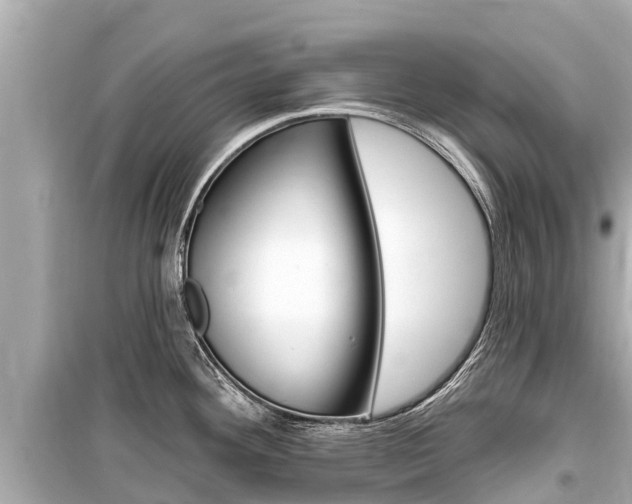 X0000099561292200805160741