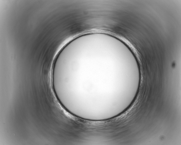 X0000099561294200805160741