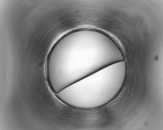 X0000099561295200805160741