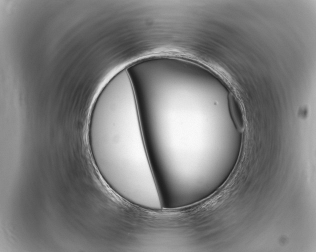 X0000099561296200805160741