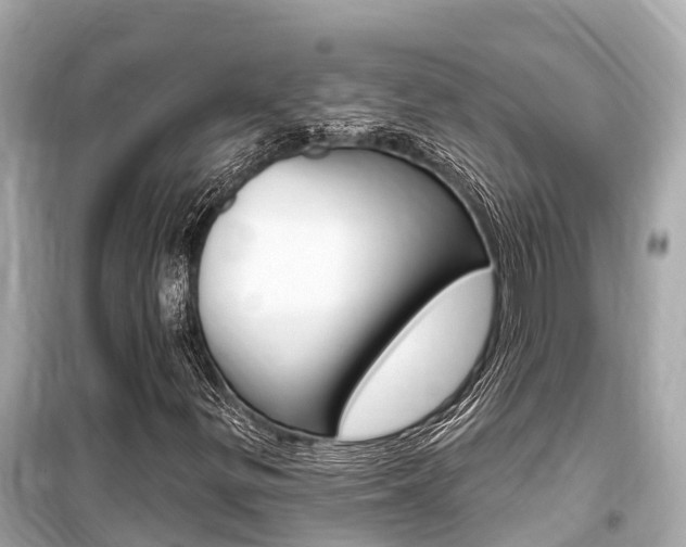 X0000099561299200805160740