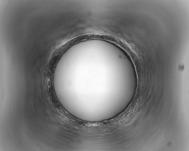 X0000099561303200805160740