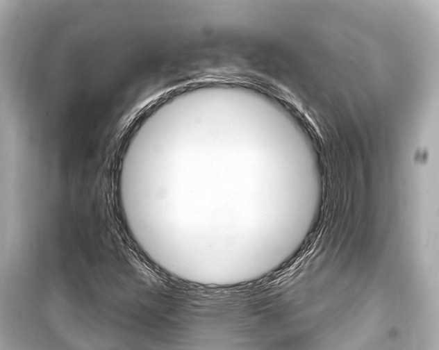 X0000099561304200805160740