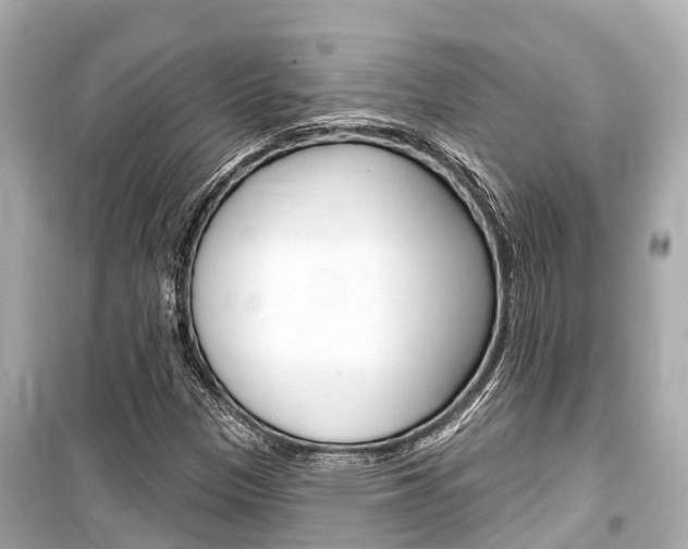 X0000099561305200805160740