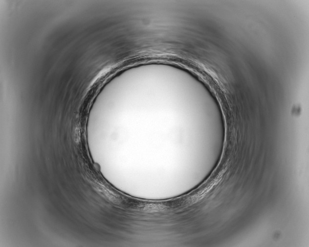 X0000099561306200805160740