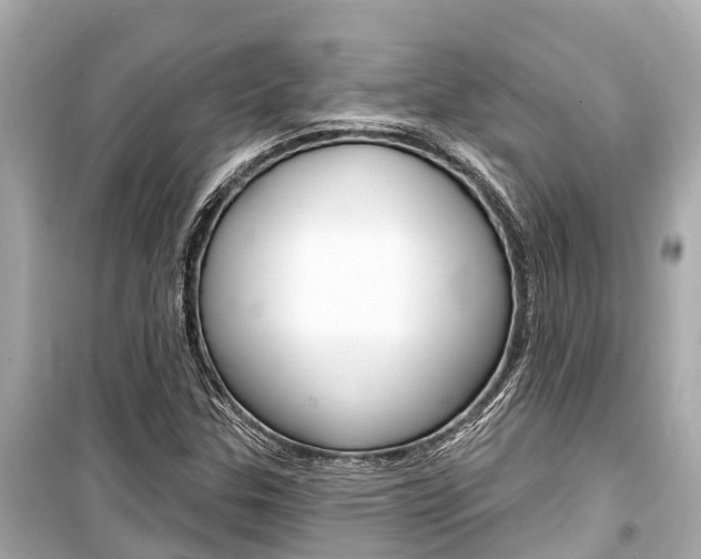 X0000099561307200805160740