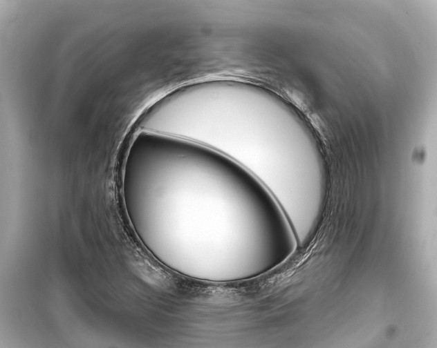 X0000099561308200805160740