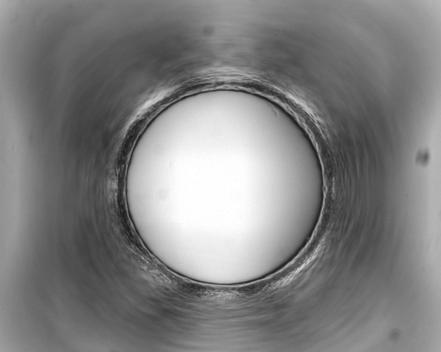 X0000099561309200805160740