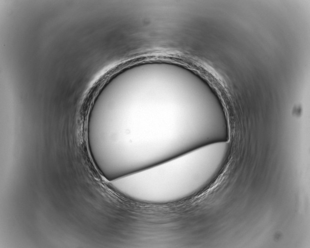 X0000099561310200805160740