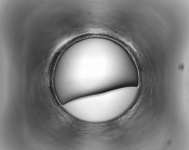 X0000099561311200805160740