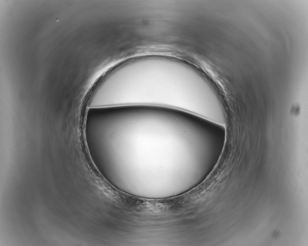 X0000099561312200805160740