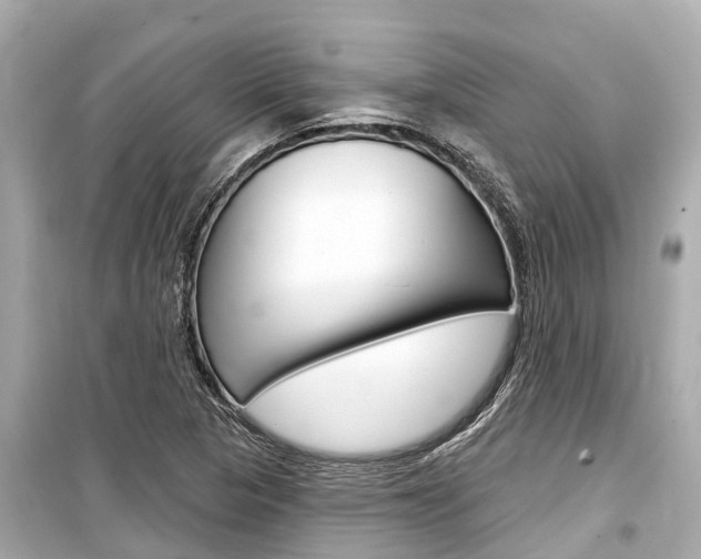 X0000099561313200805160740