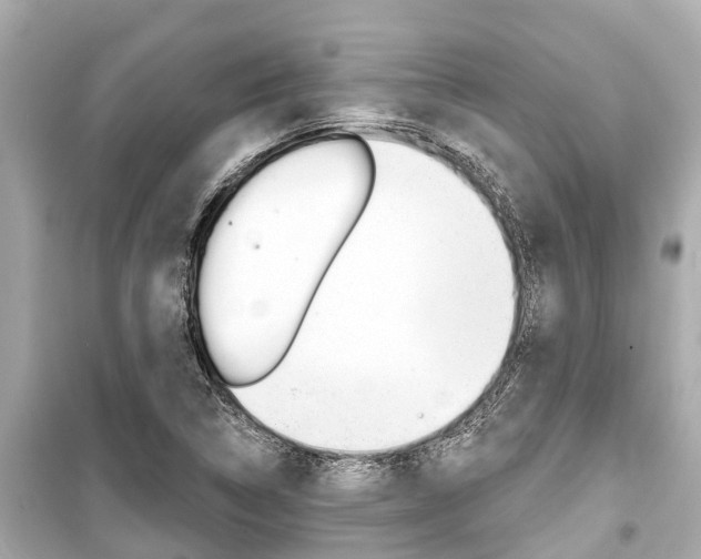 X0000099561314200805160741