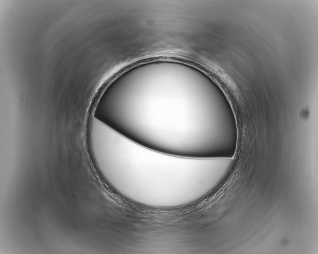 X0000099561316200805160741