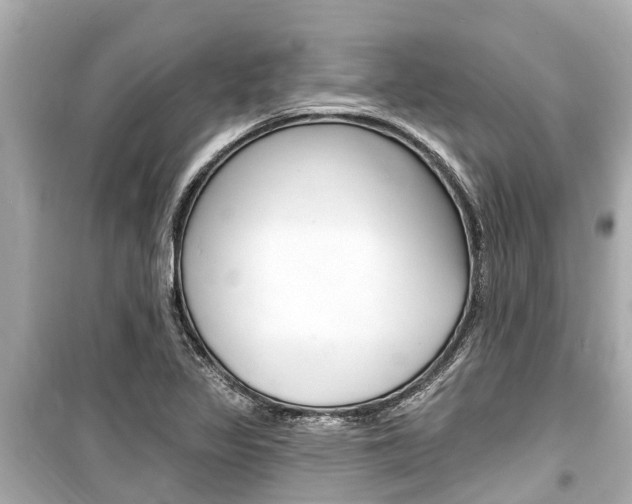 X0000099561317200805160741
