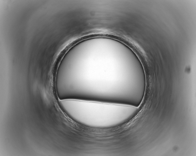 X0000099561318200805160741