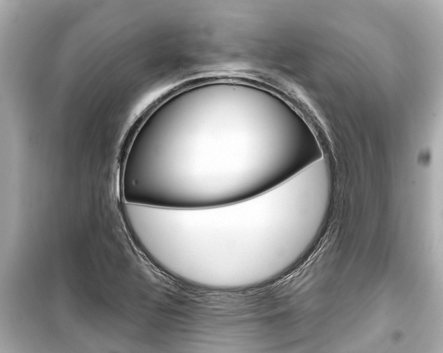 X0000099561320200805160741