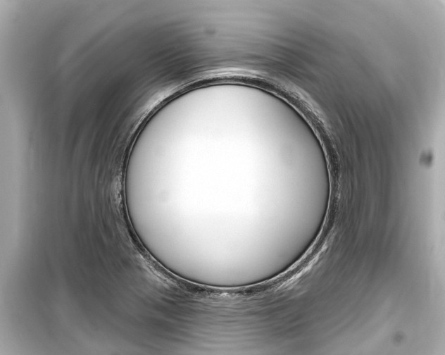 X0000099561321200805160741