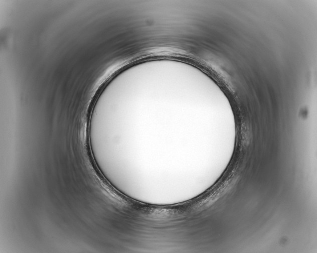 X0000099561322200805160741