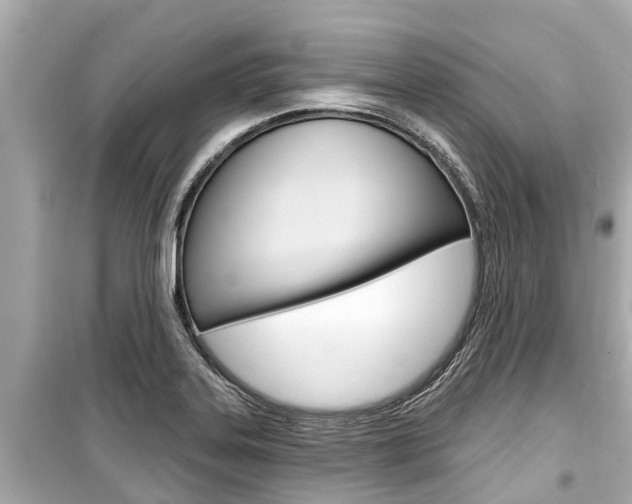 X0000099561323200805160741