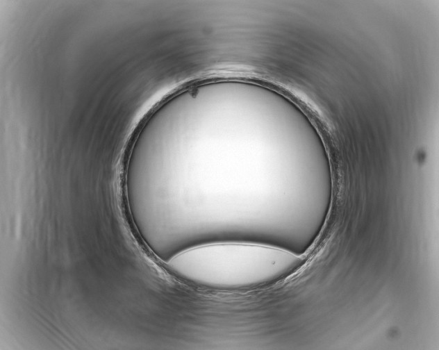 X0000099561325200805160741