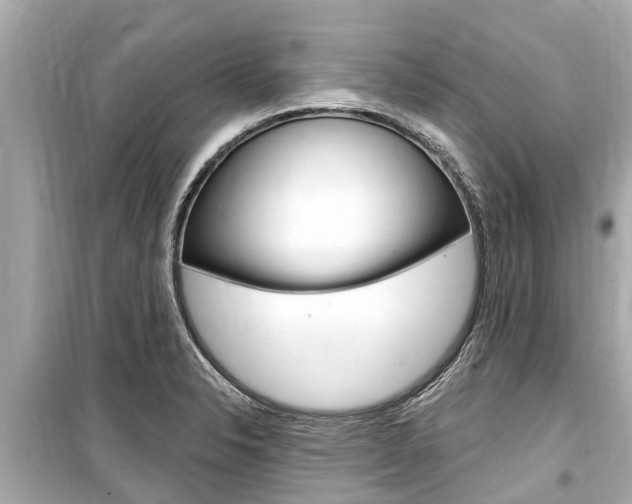 X0000099561326200805160741